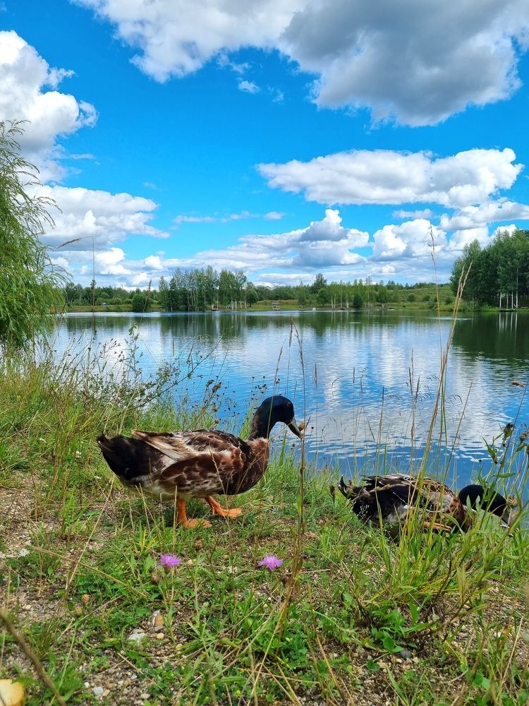 Photograph by Ангелина Шикина
