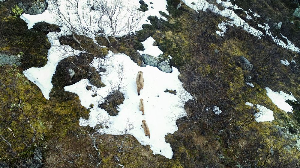 Photograph by Парамонов Григорий