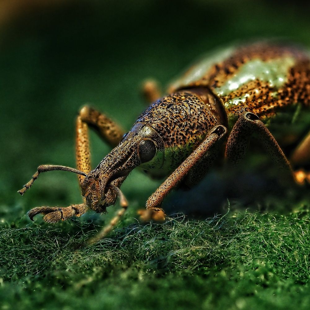 Photograph by Анатолий Савчук