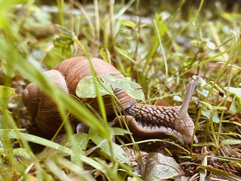 Photograph by Ольга Барулина