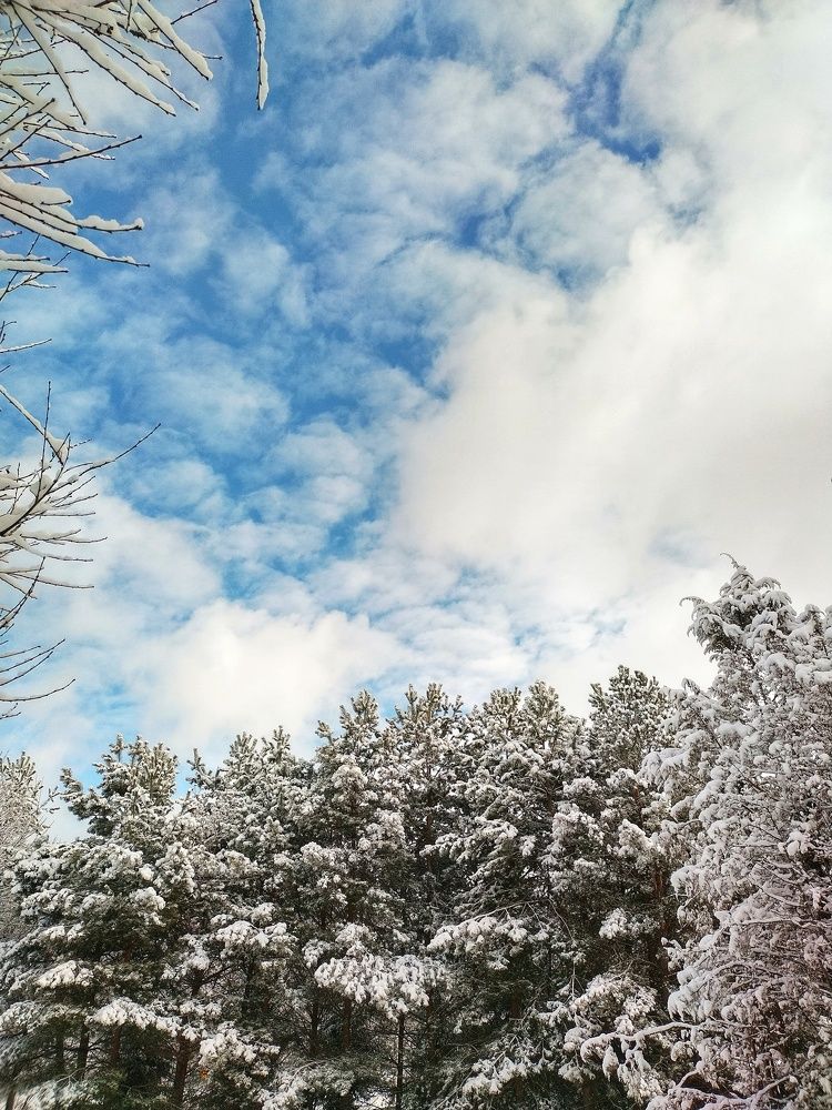 Photograph by Аряева Анна