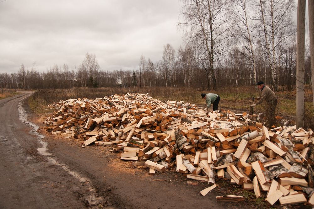 Photograph by Максимова Дария