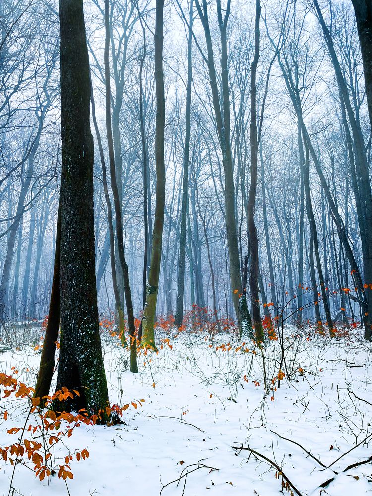 Photograph by Виктория Уварова