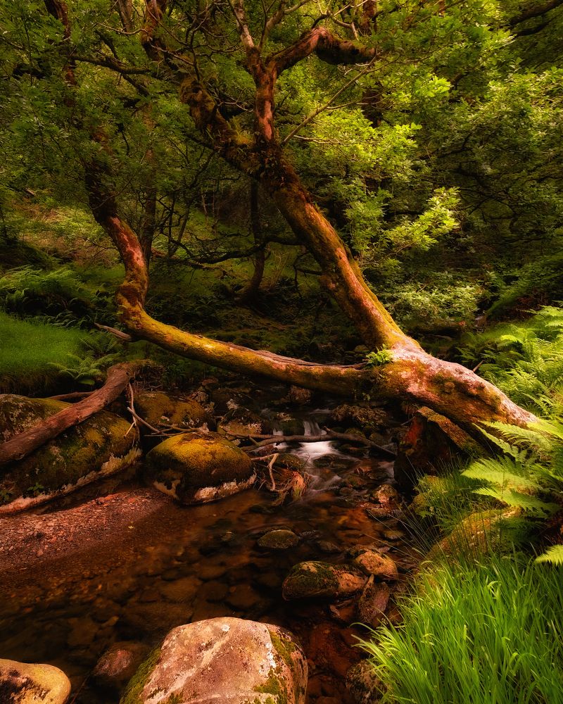 Фотография автора Kanstantsin Markevich