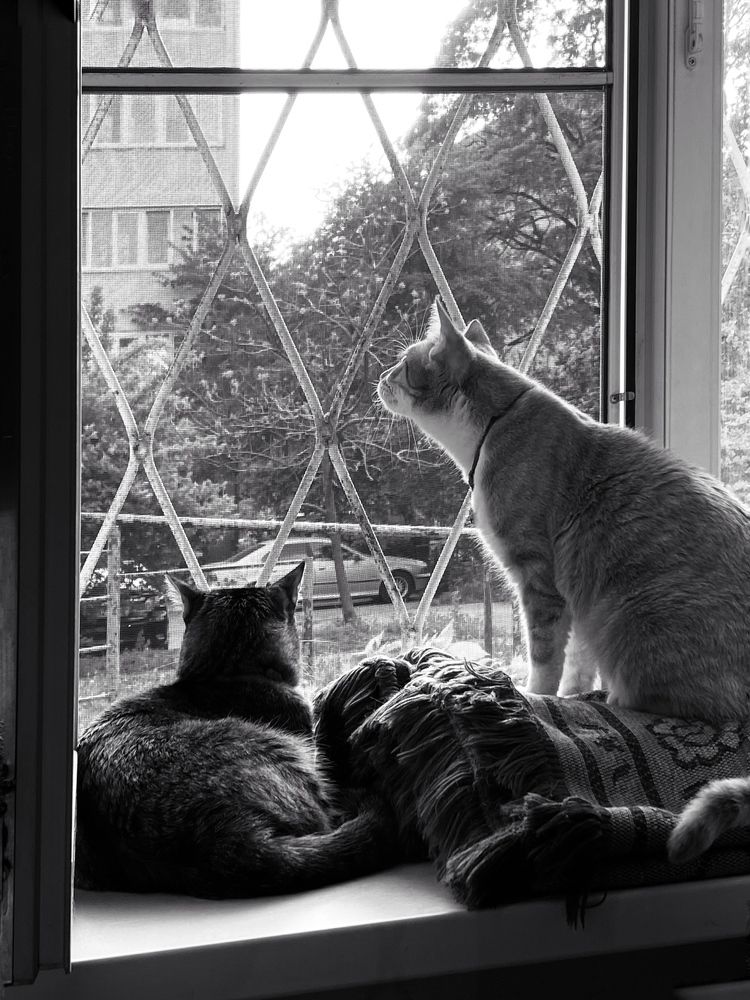 Photograph by Екатерина Балакина