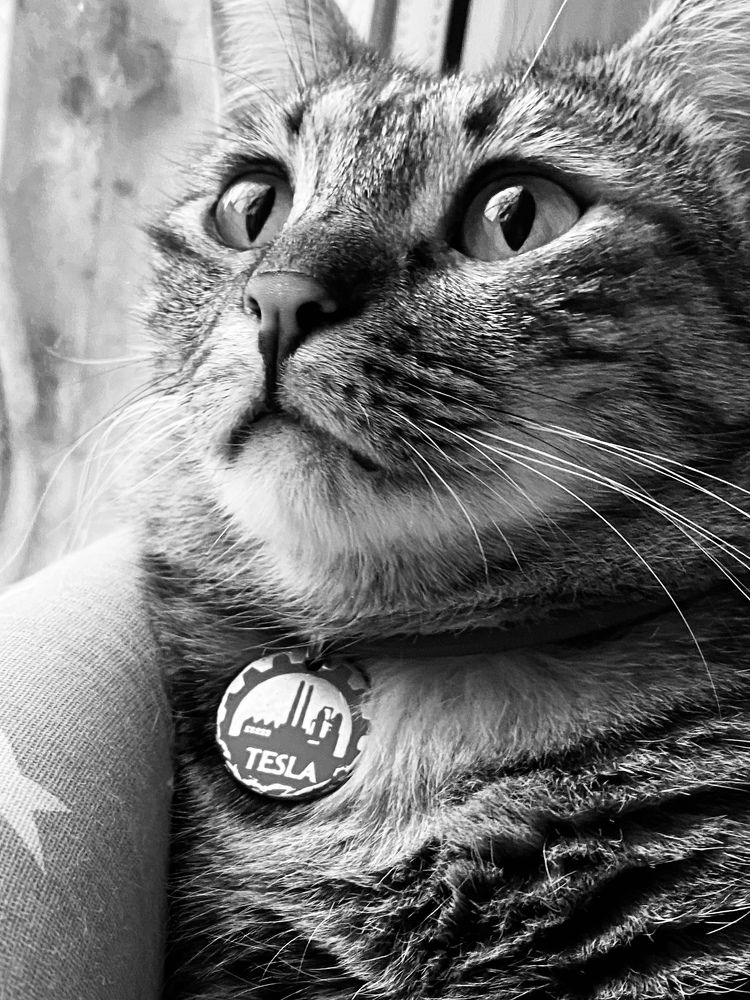 Photograph by Екатерина Балакина