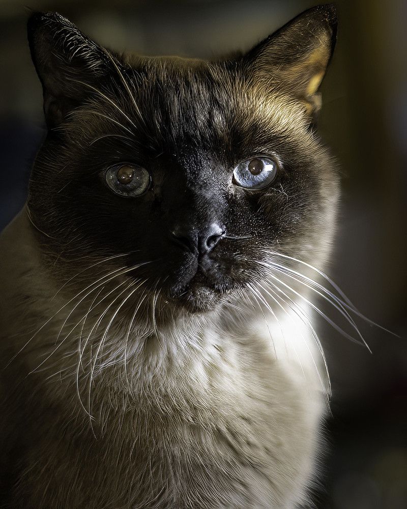 Фотография автора Raymond Asiala