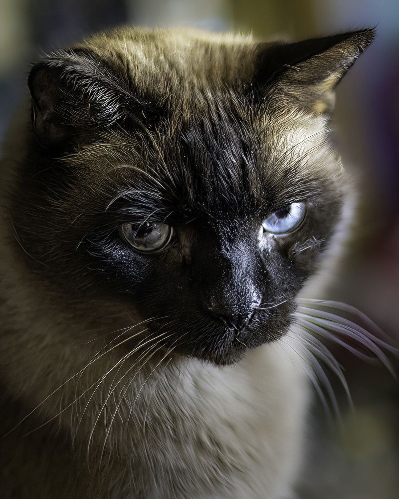 Фотография автора Raymond Asiala