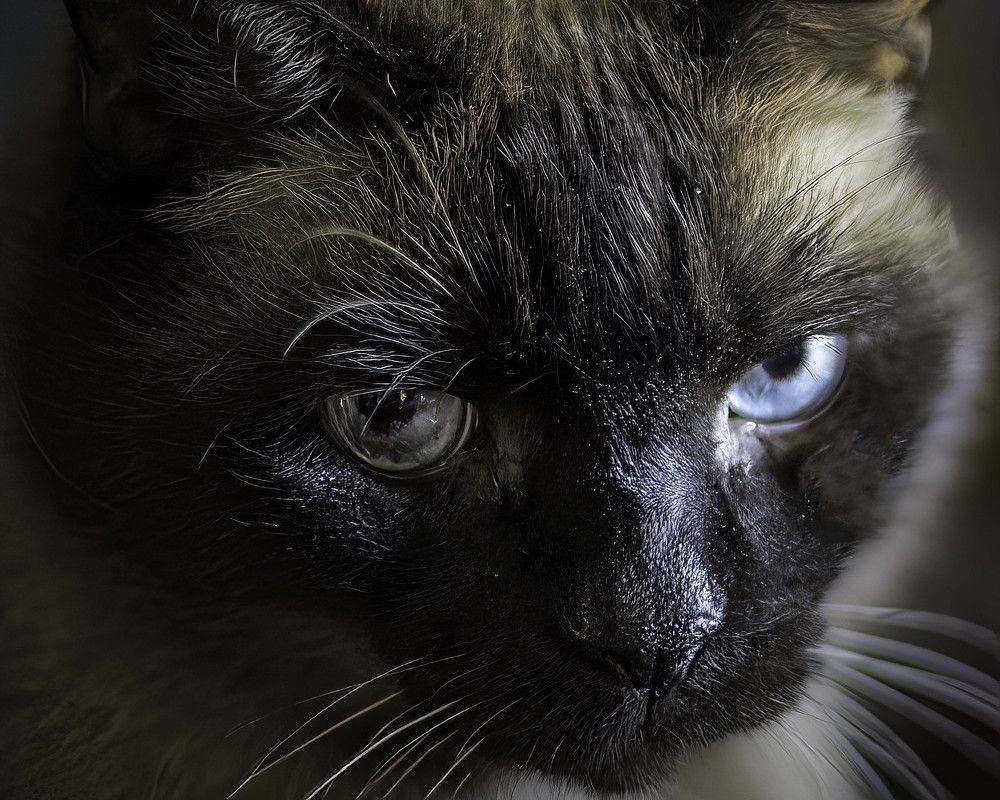 Фотография автора Raymond Asiala