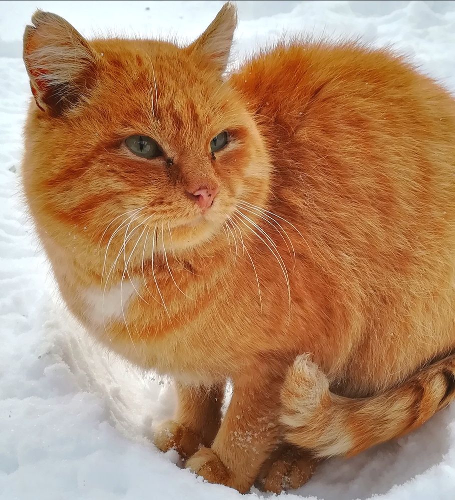 Photograph by Мария