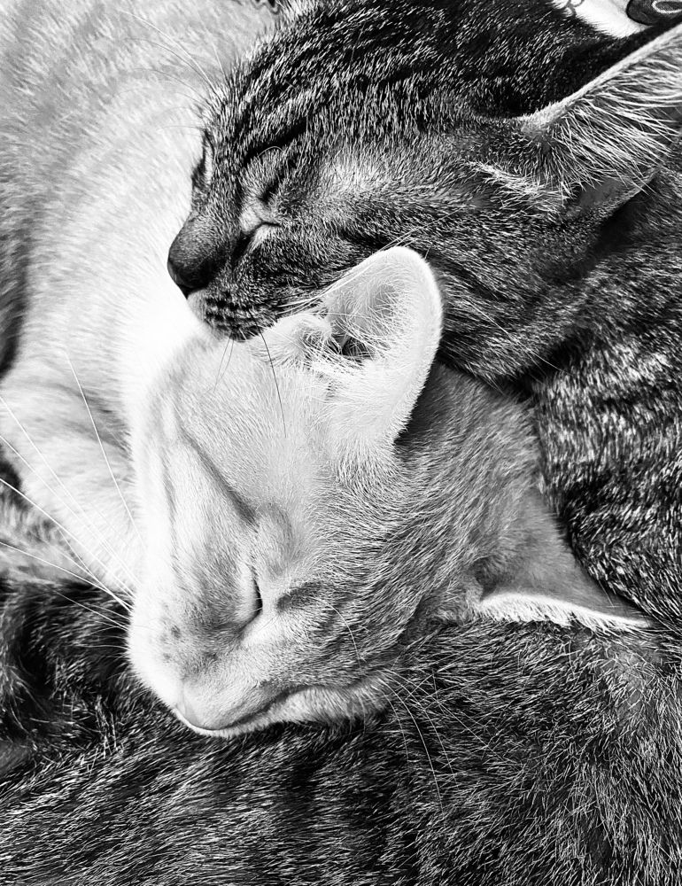 Photograph by Екатерина Балакина