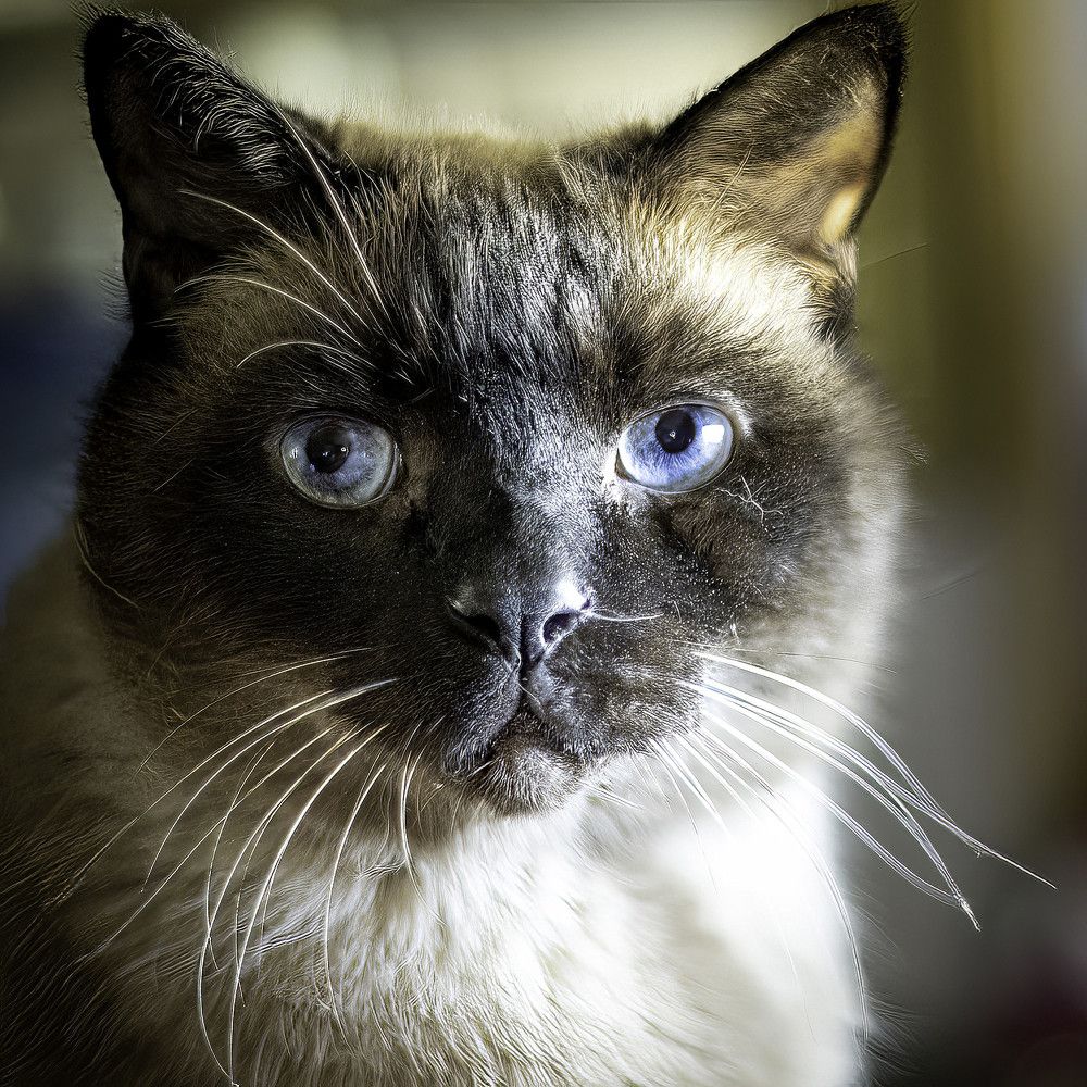 Фотография автора Raymond Asiala