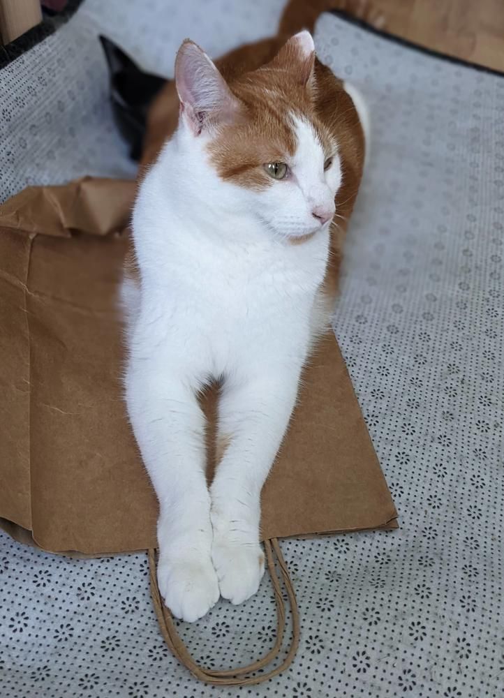 It's My Bag!