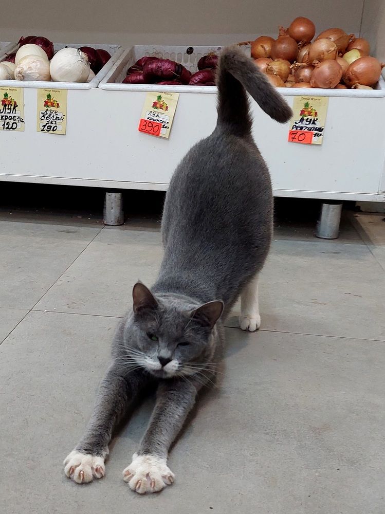 Photograph by Елена Тимченко