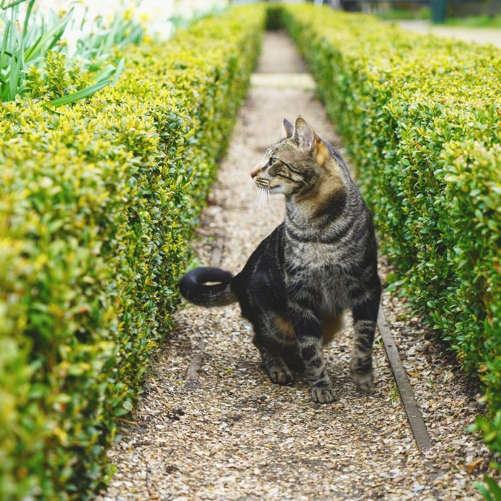 Фотография автора Владимир Хащанский