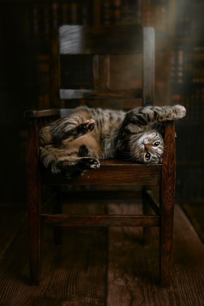 Photograph by Kasia Kapała