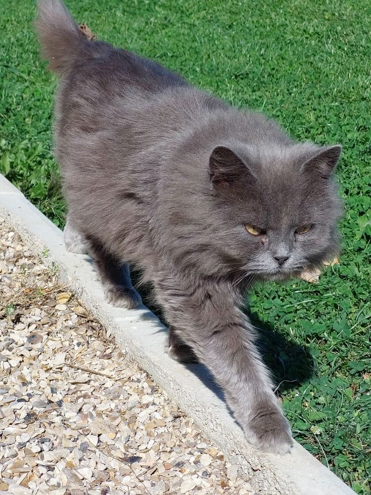 Photograph by Елена Тимченко