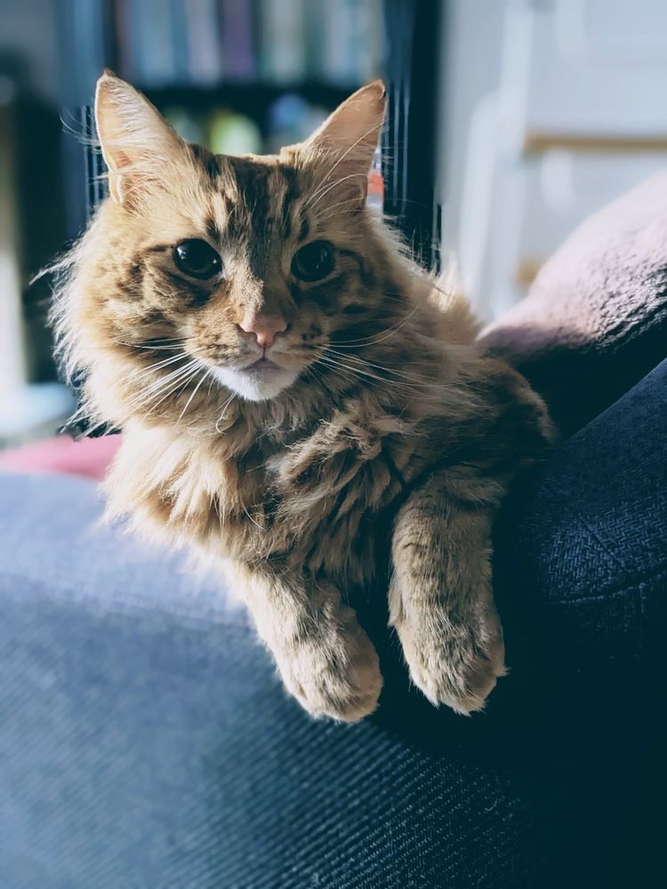 Is it Breakfast Time yet?