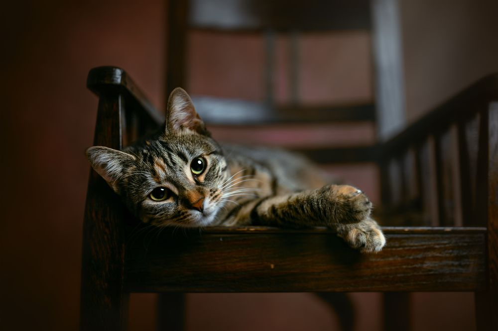 Photograph by Kasia Kapała