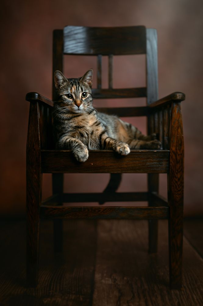 Фотография автора Kasia Kapała