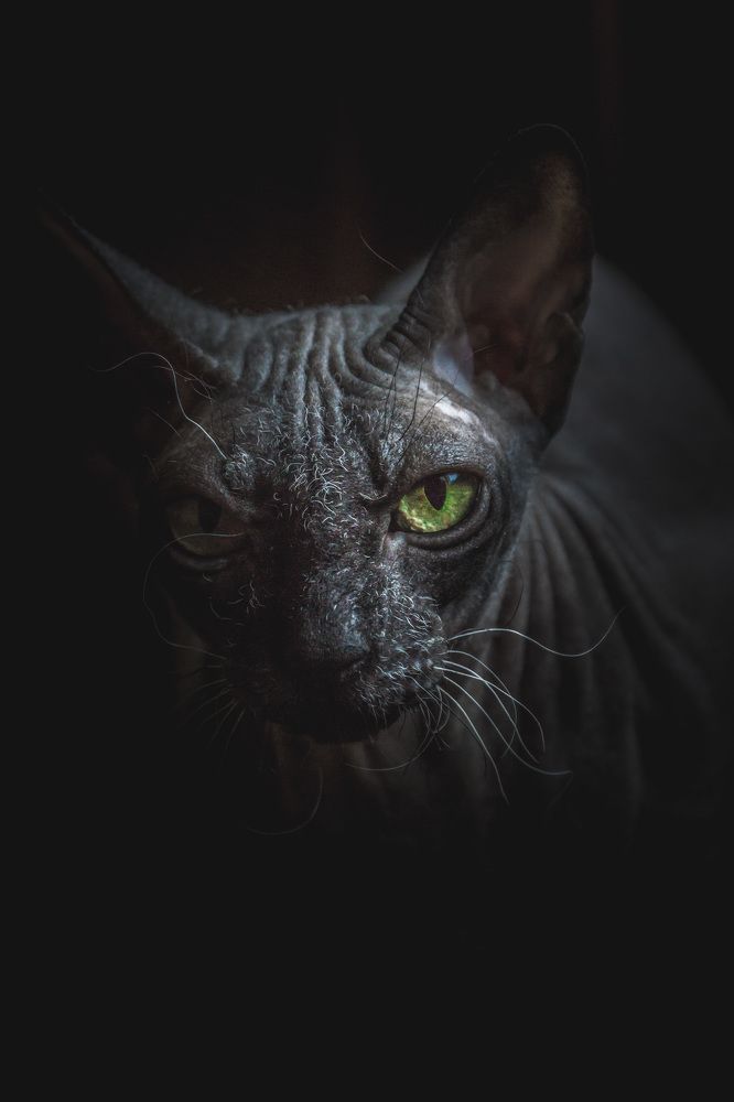 Photograph by Светлана Гонская