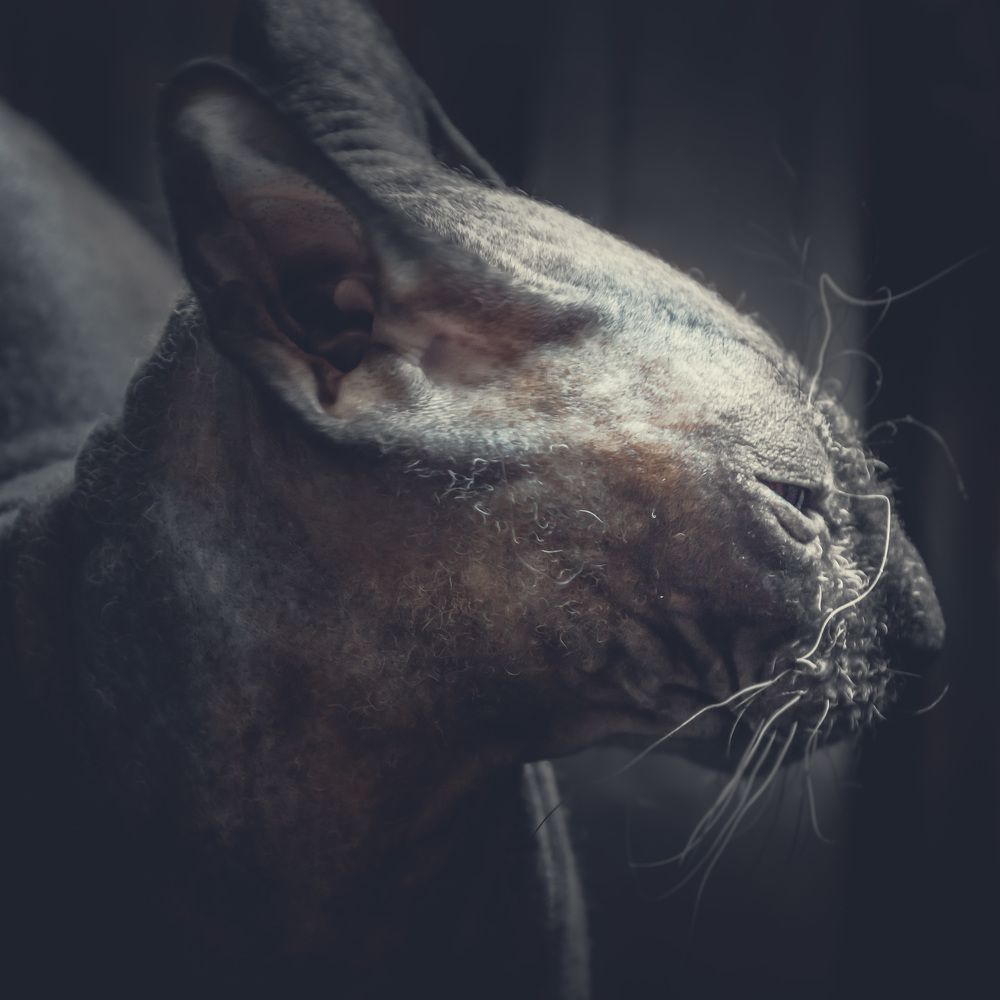 Photograph by Светлана Гонская