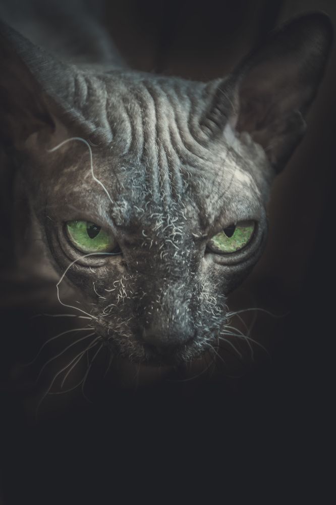 Photograph by Светлана Гонская