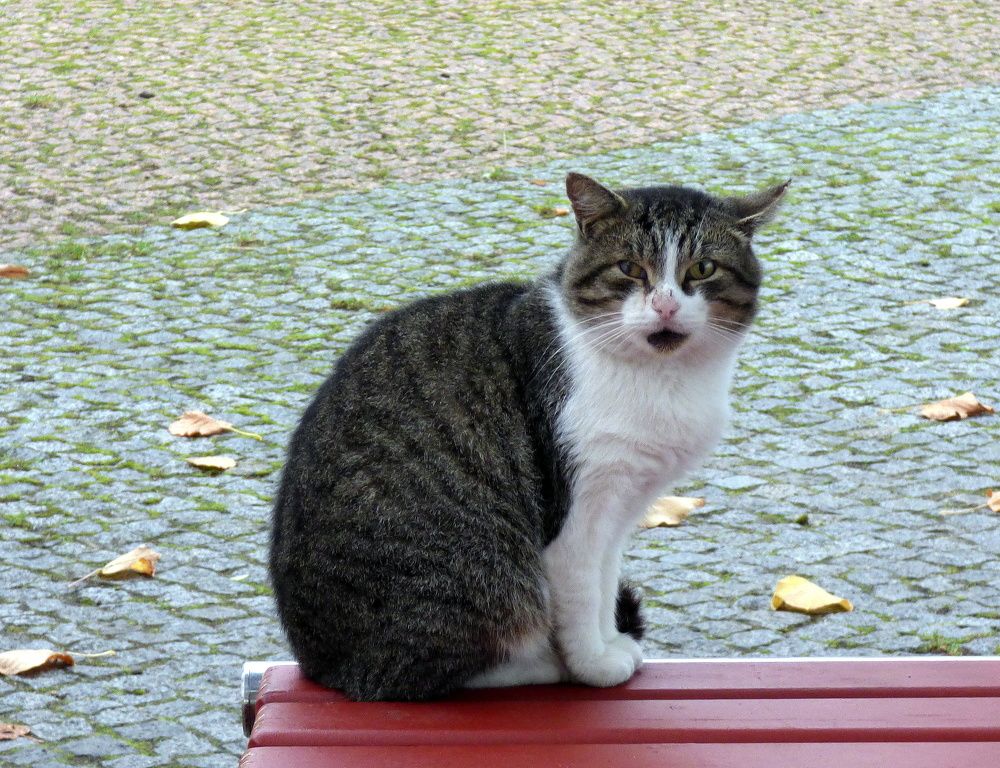 Photograph by Pjotr Alekseev