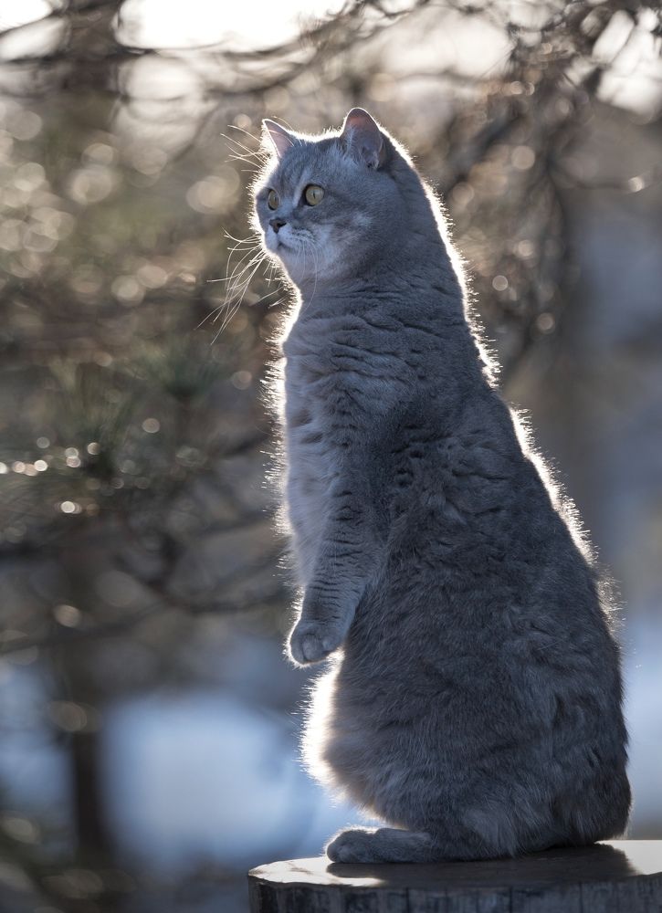 Photograph by Алексей Тихонов