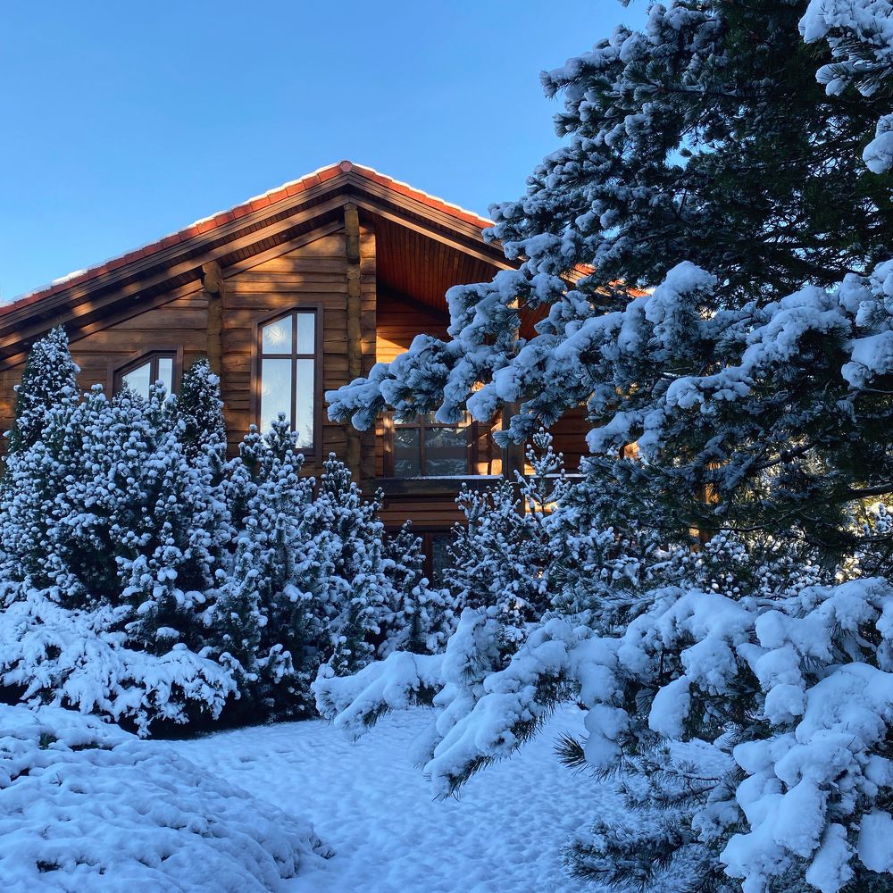 Фотография автора Владимир Хащанский