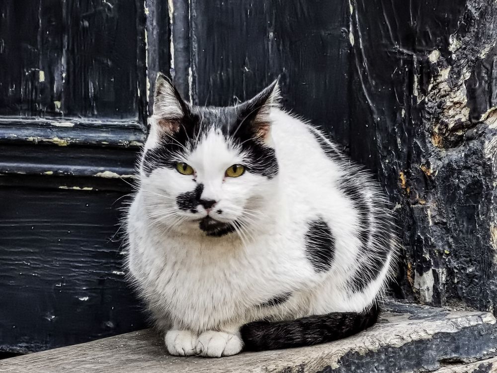 Photograph by Николай Драганов