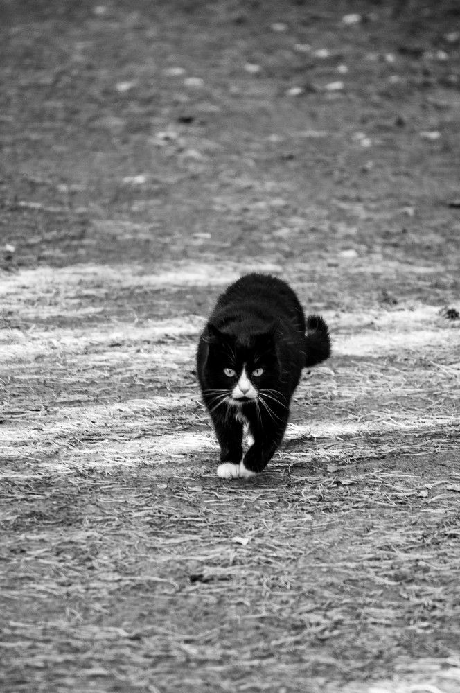 Photograph by Вадим Басов