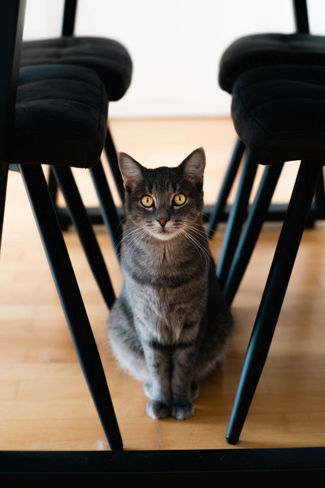 Photograph by Михаил Мамаев