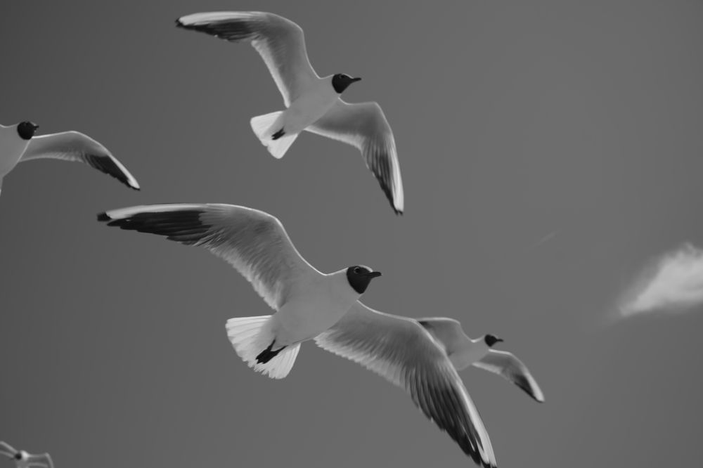 Фотография автора Владимир Хащанский