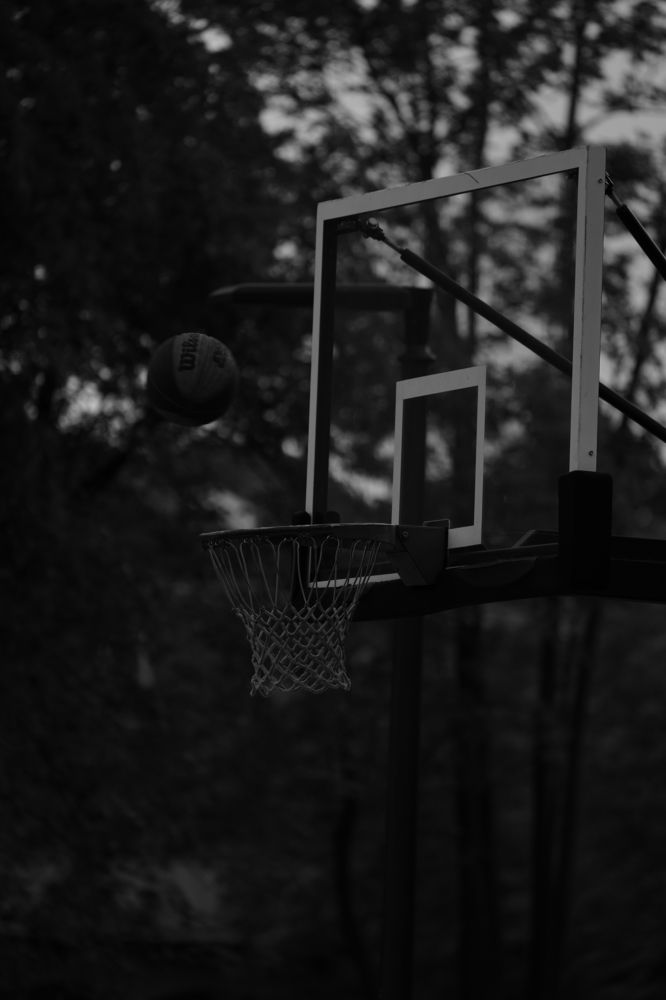 Фотография автора Владимир Хащанский