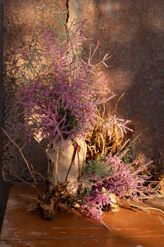 Photograph by Elena Mingazova