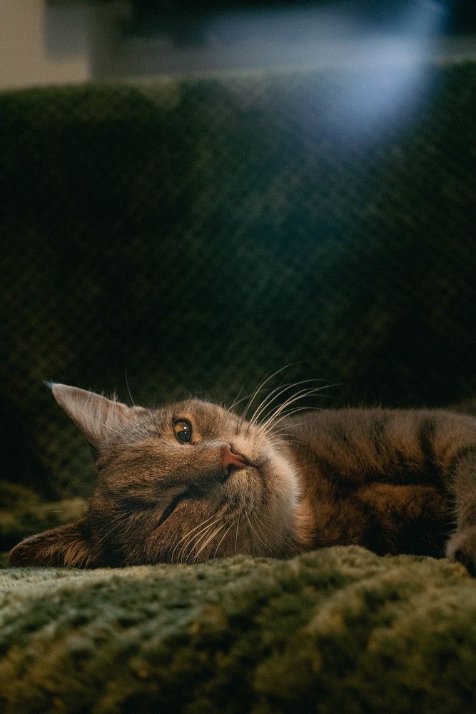 Photograph by Михаил Мамаев