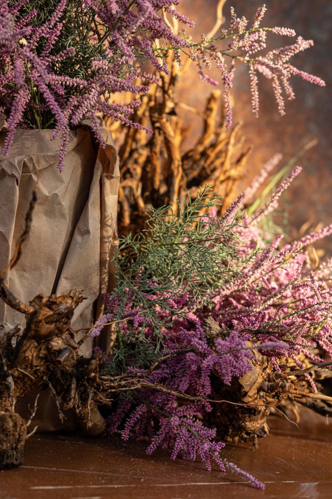 Photograph by Elena Mingazova