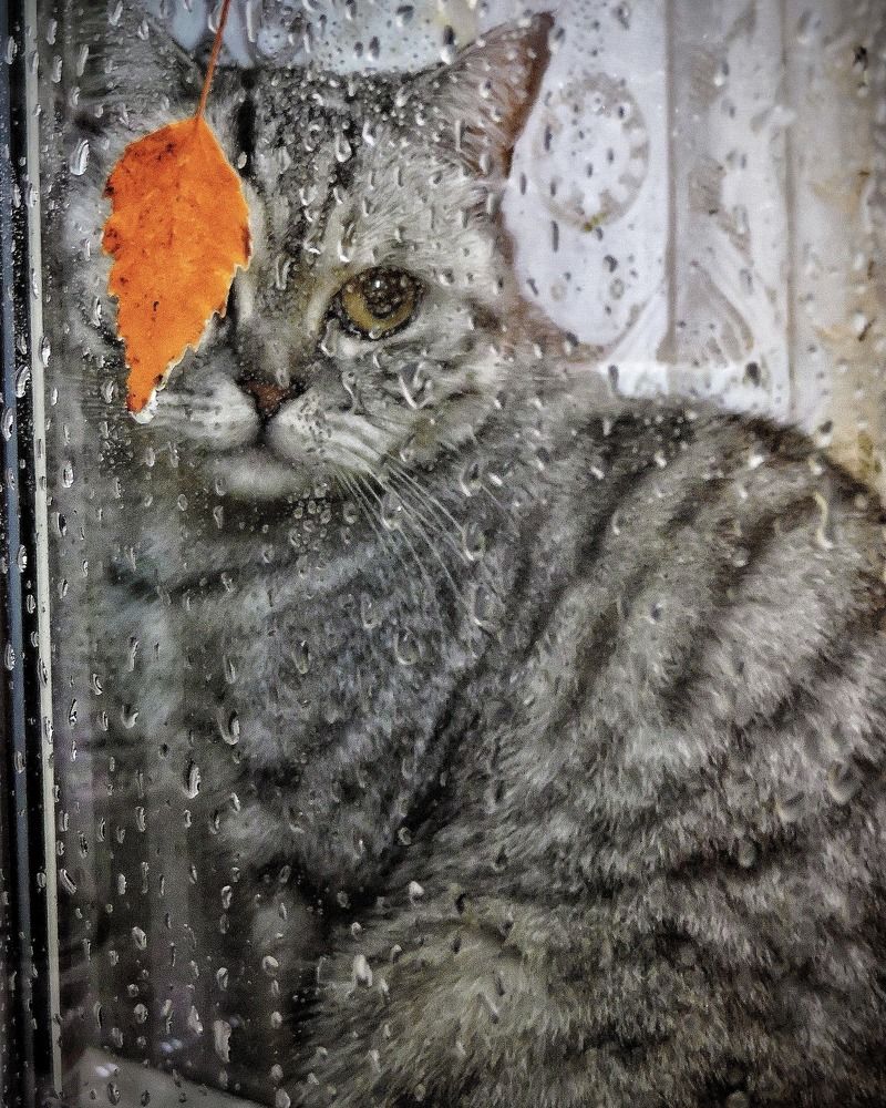 Photograph by Светлана Богомолова