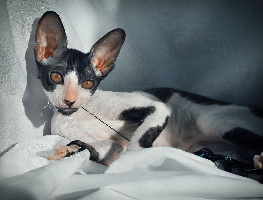 Фотография автора Наталья Тутарева