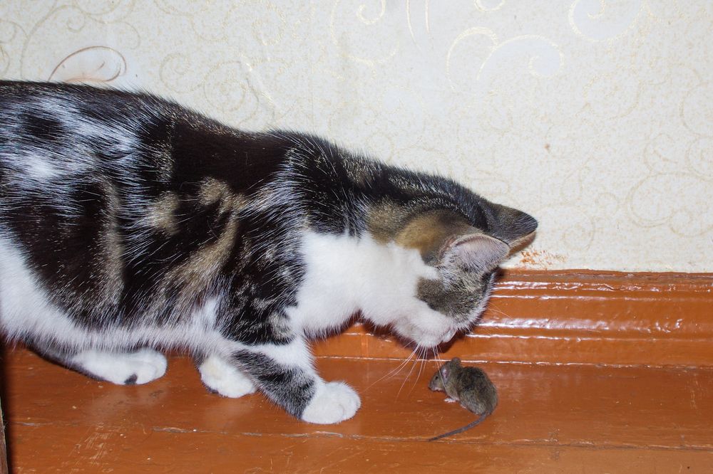 Фотография автора Ксения Смирнова