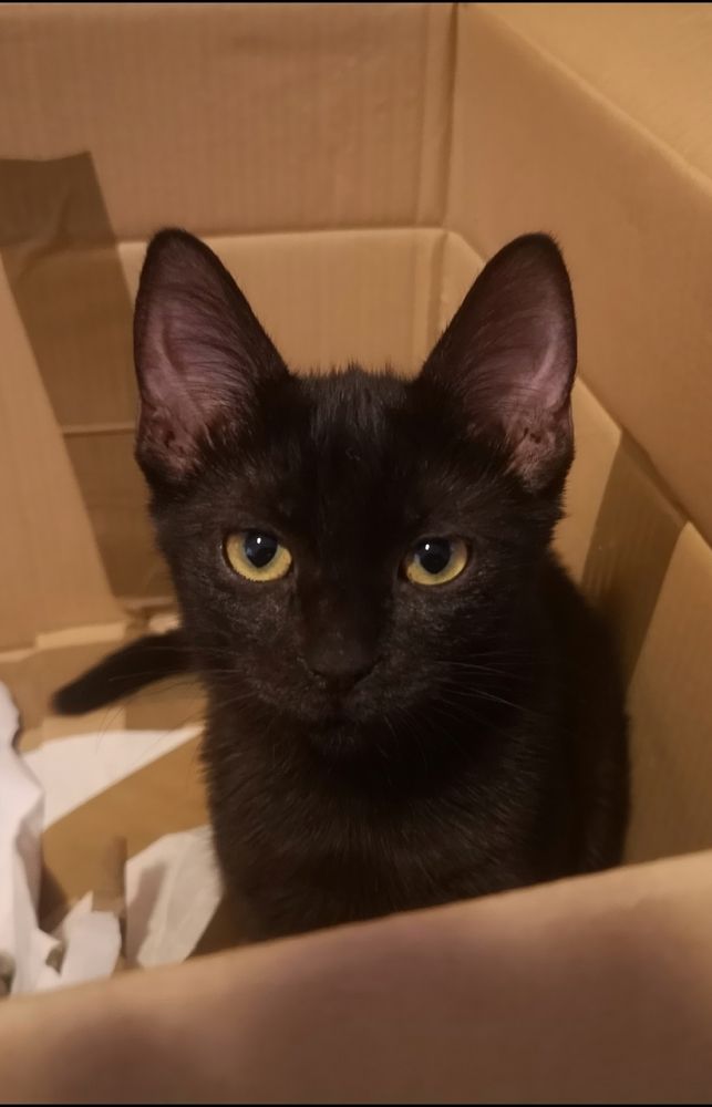 Photograph by Nikolett Mengyi