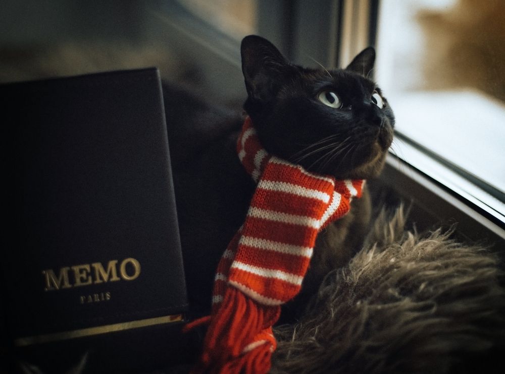 Фотография автора Наталья Тутарева