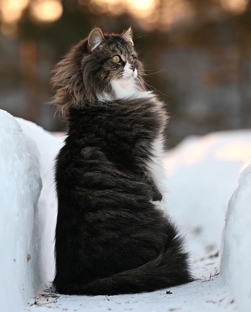 Photograph by Алексей Тихонов