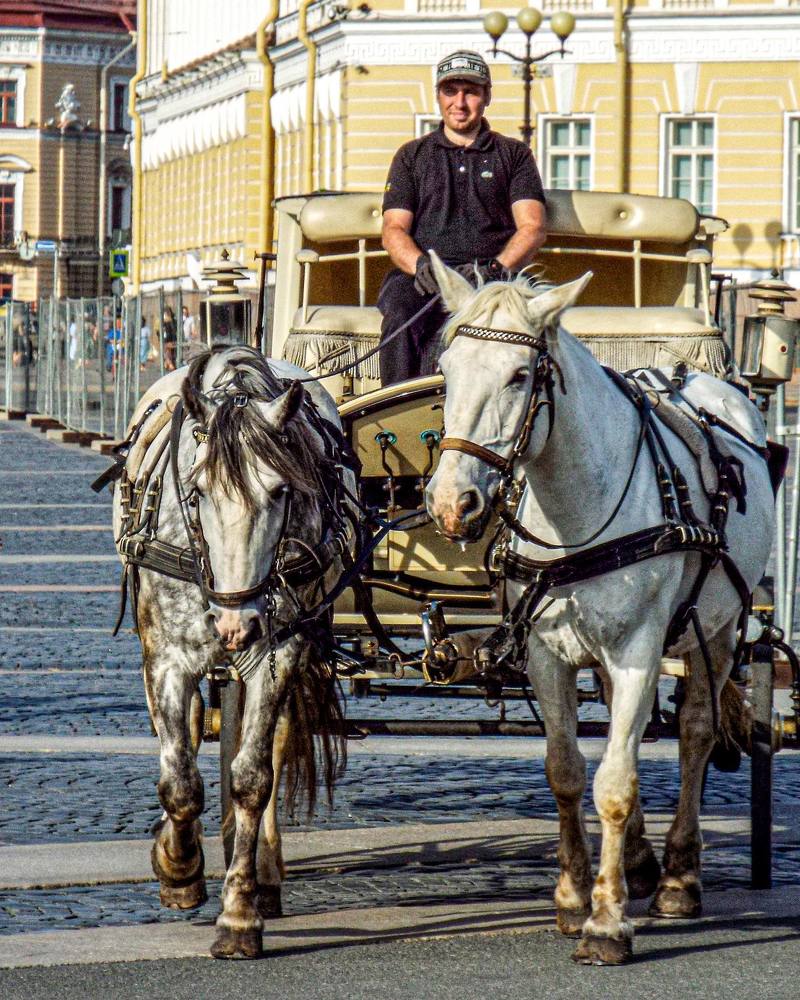 Photograph by АНДРЕЙ АБАКУМОВ