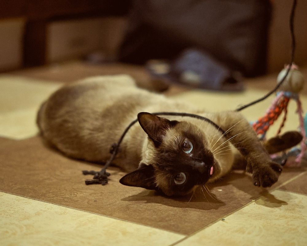 Photograph by Артем Большаков