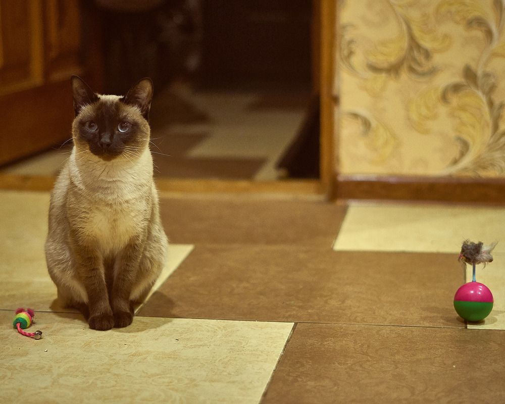 Photograph by Артем Большаков