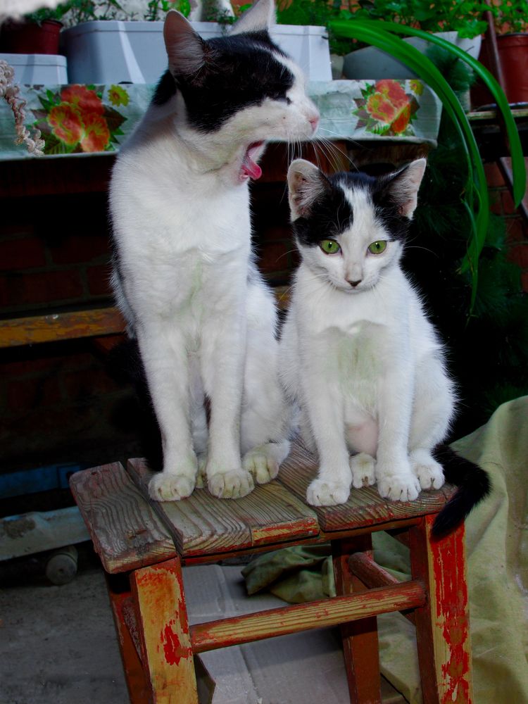 Фотография автора Ксения Смирнова