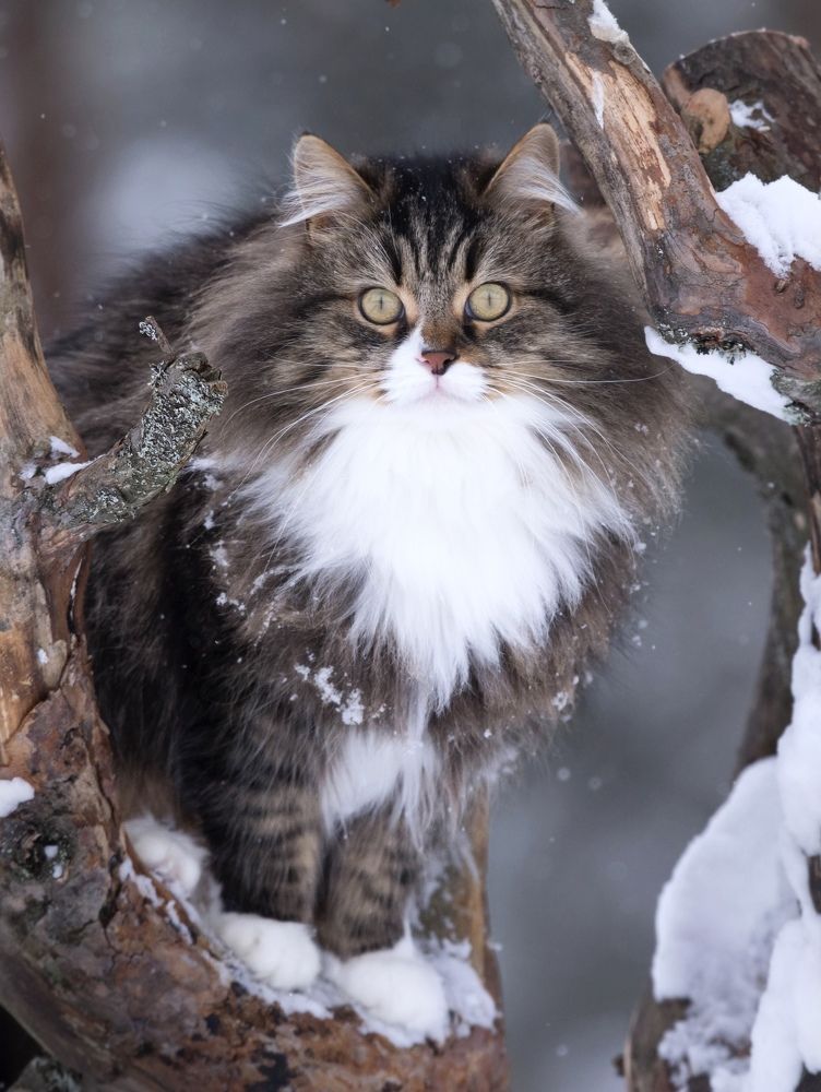 Photograph by Алексей Тихонов