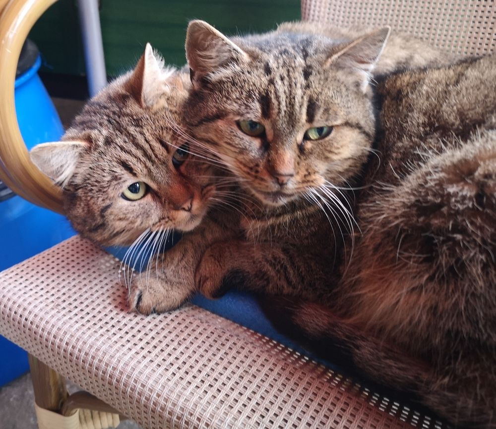 Photograph by Nikolett Mengyi